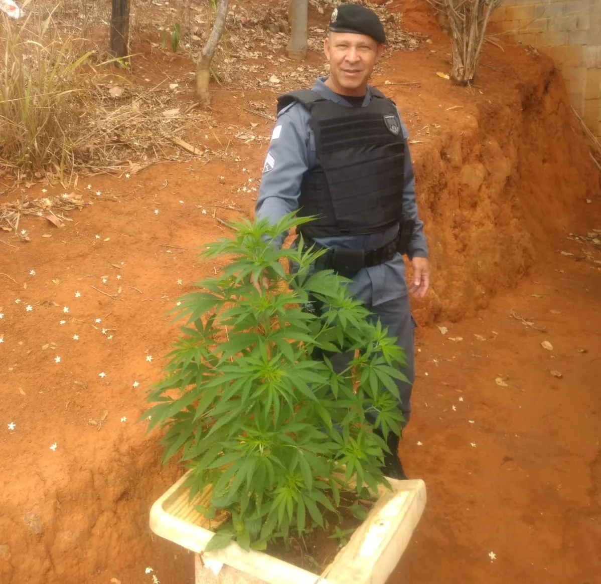 Foto: Divulgação/ Polícia Militar