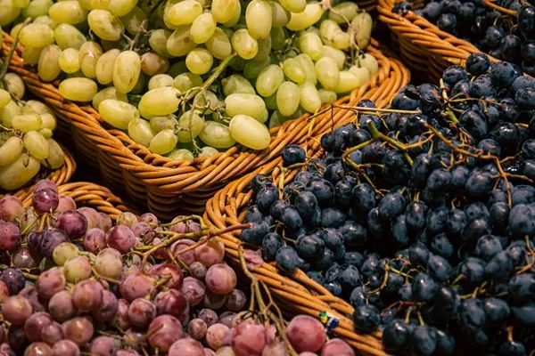 Variedade de uvas afeta sabor e aroma de vinhos