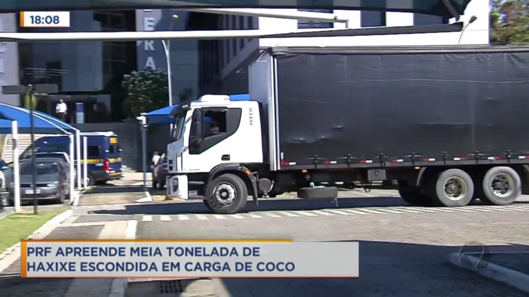 Meia tonelada de haxixe é apreendida em carga de coco