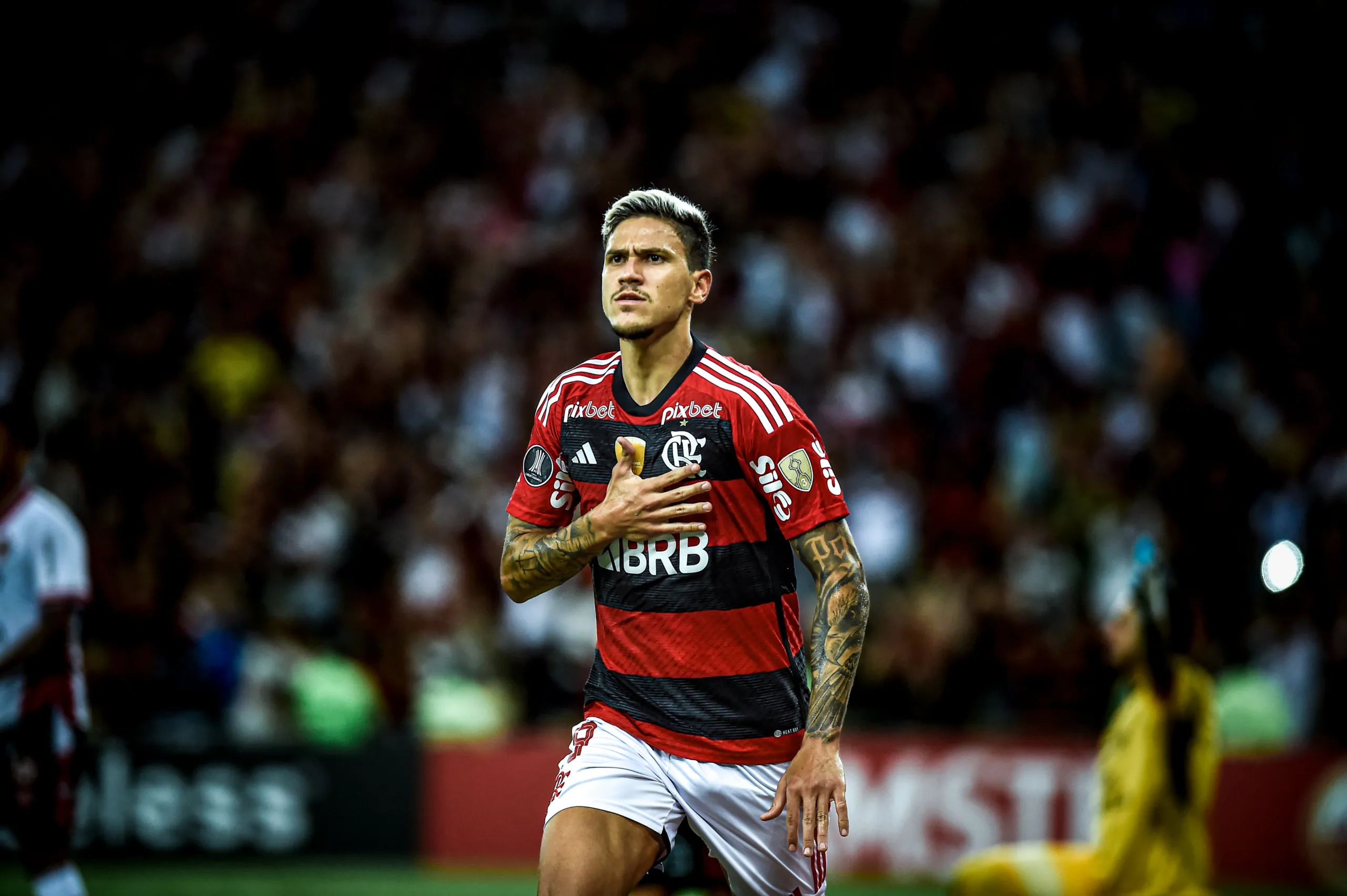 Foto: Divulgação/Flamengo