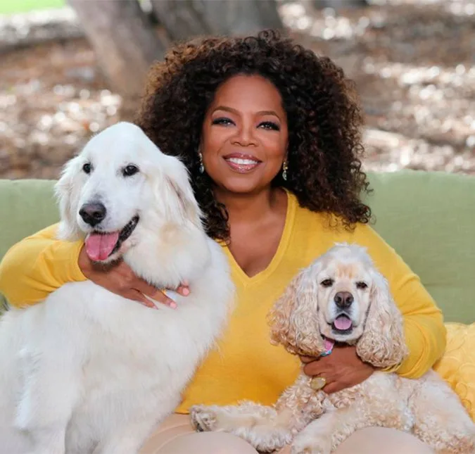 Oprah Winfrey desabafa sobre caso de filho secreto!