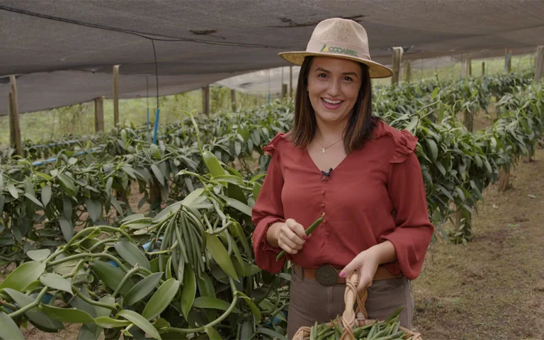 Produção de baunilha e cooperativas são destaques de Agro e Mundo Business