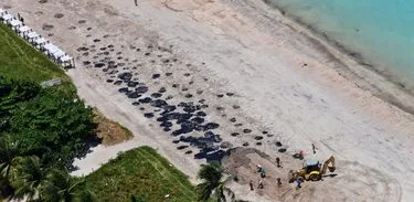 Vista geral de um derramamento de óleo na praia de Peroba em Maragogi, estado de Alagoas, Brasil, outubro de 2019. Foto tirada em 17 de outubro de 2019. REUTERS / Diego Nigro