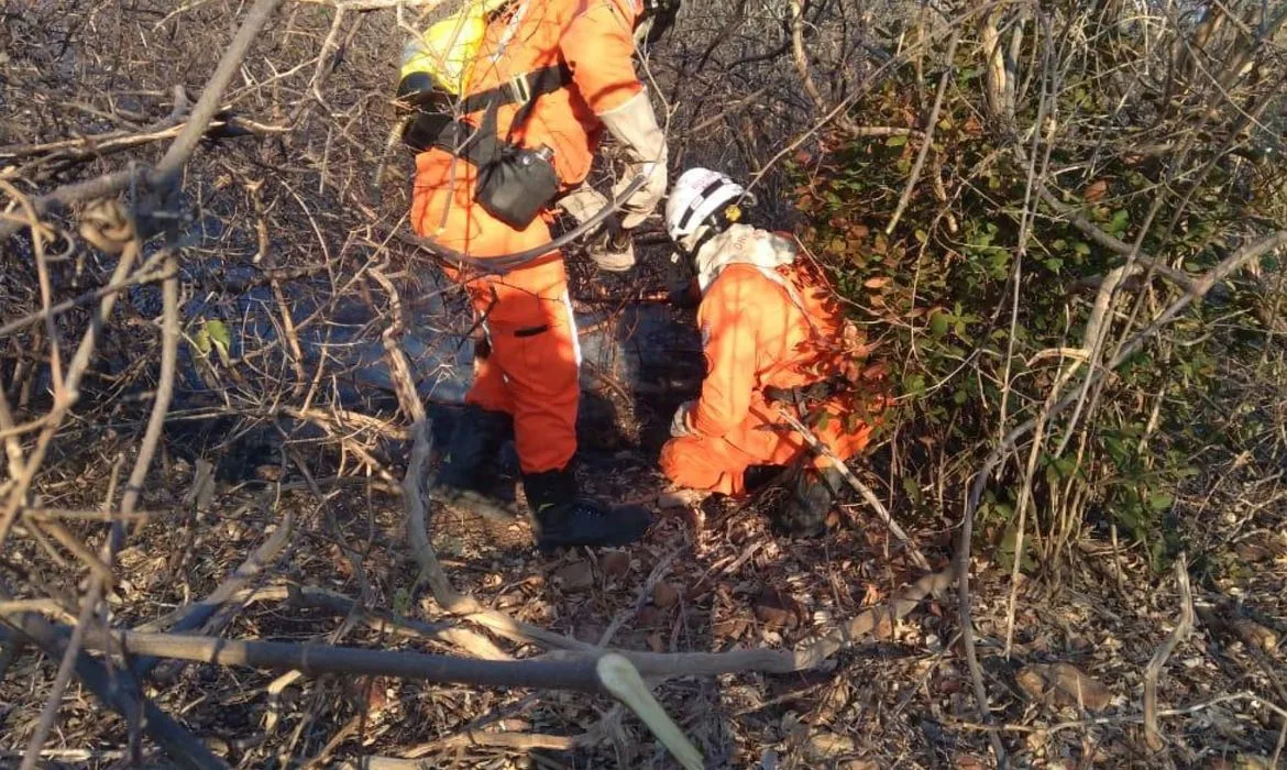 Bombeiros atuam em quatro regiões atingidas por incêndios florestais