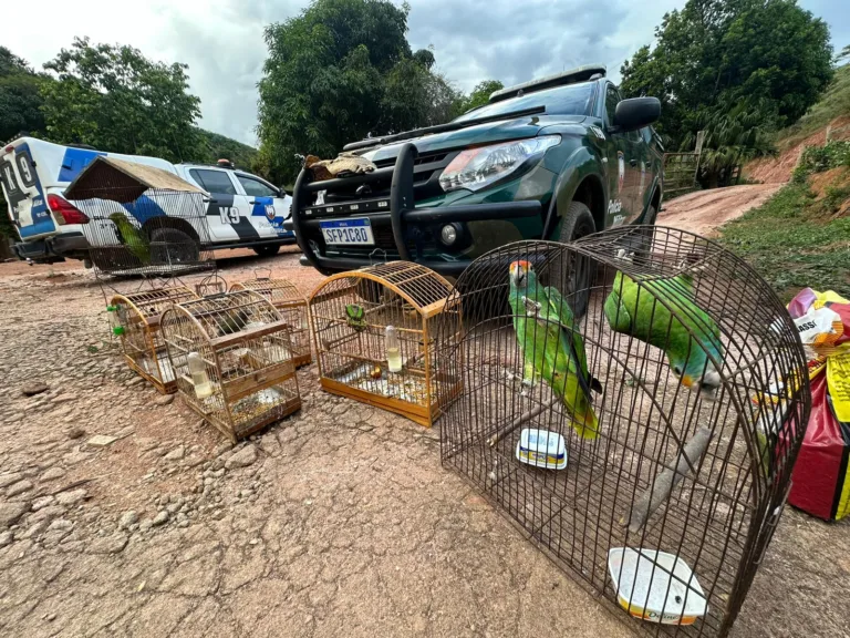 Foto: Polícia Militar Ambiental