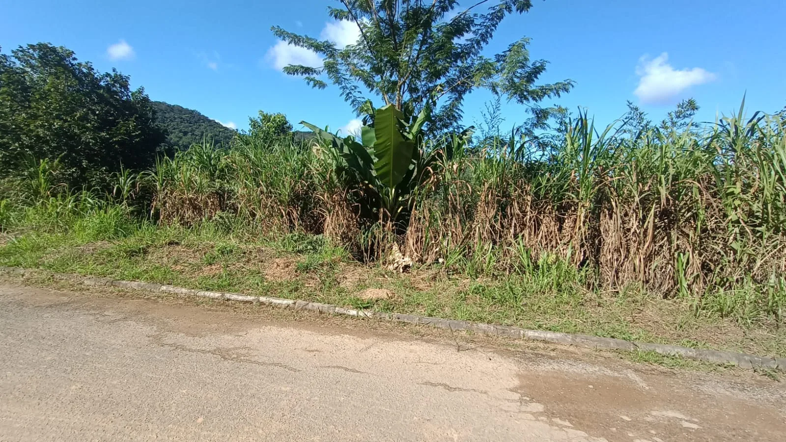 Pai que jogou bebê de 1 mês em barranco é indiciado em Marechal Floriano