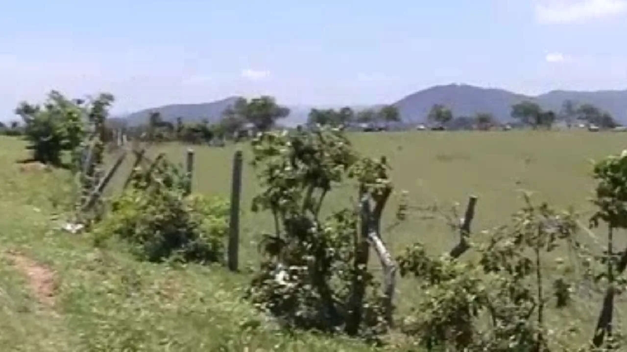 Homens são encontrados mortos a tiros em zona rural de Cariacica