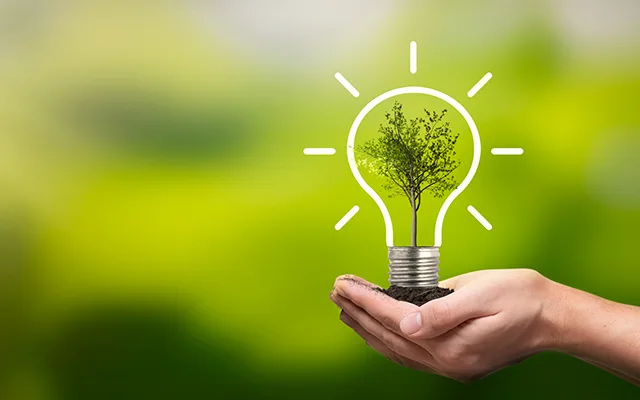 Dia Mundial do Meio Ambiente chama atenção a soluções para poluição plástica