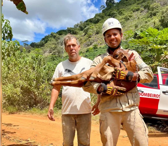 Bezerra é resgatada por bombeiros após cair em pedreira em Guaçuí