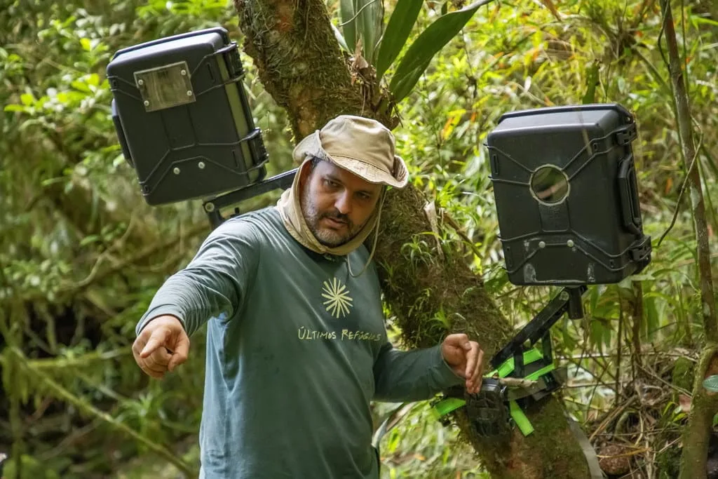 10 curiosidades sobre a fotografia de natureza