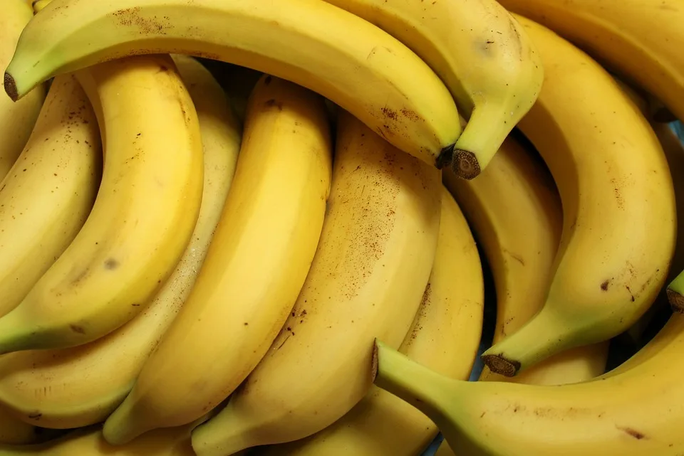 Dia Mundial da Banana: fruta é destaque na economia do ES