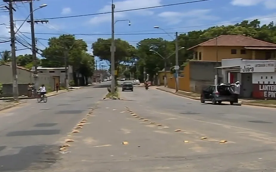 Polícia descobre rinha de galo e apreende mais de 60 animais na Serra; 14 pessoas foram conduzidas para delegacia