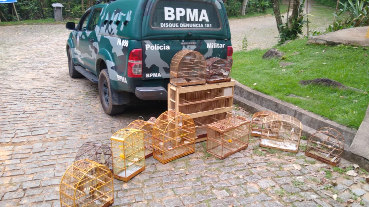 Duas pessoas são presas com pássaros silvestres durante fiscalização da Polícia Ambiental