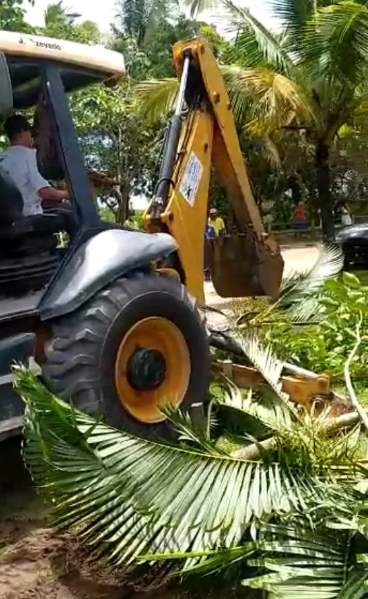 VÍDEO | Moradores de Itaúnas se revoltam com a retirada de árvores feita por prefeitura