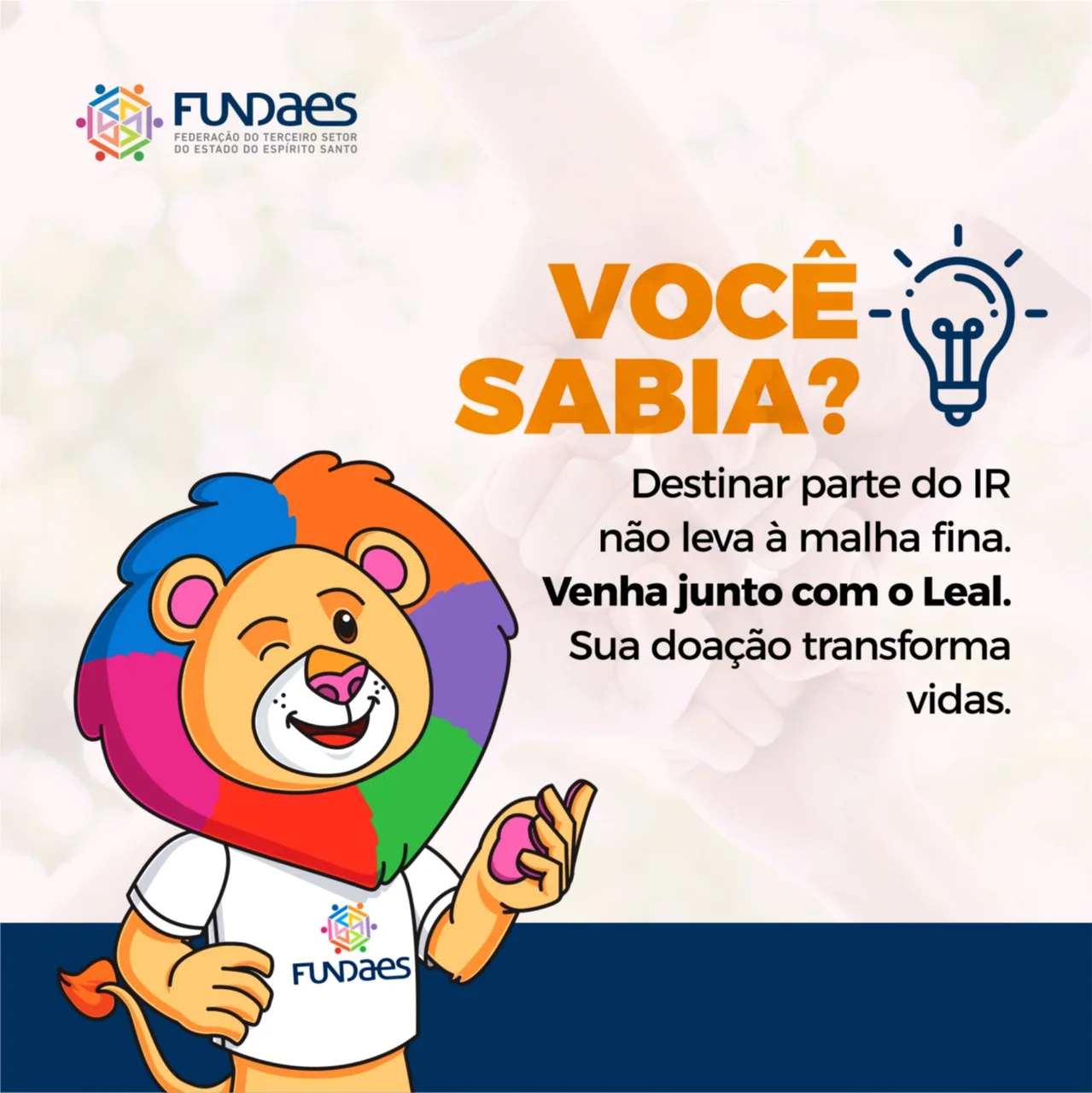 Saiba como destinar parte de seu IR para instituições sociais do ES