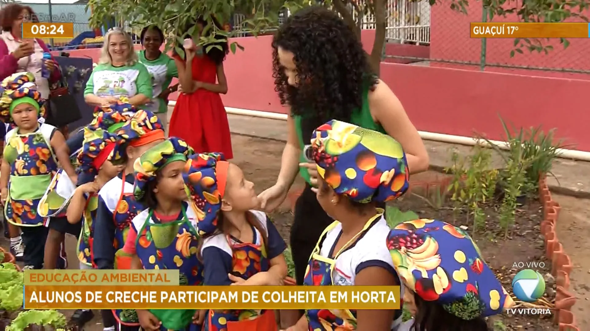 Alunos de escola participam de colheita em horta