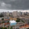 Foto: Divulgação/DINO 
