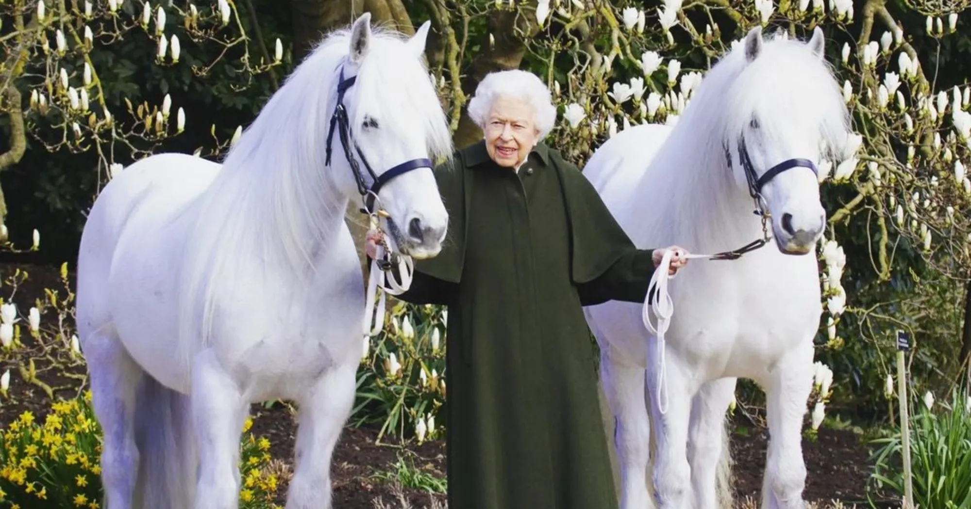 Feliz aniversário! Rainha Elizabeth 2ª faz 96 anos e posa em foto com pôneis