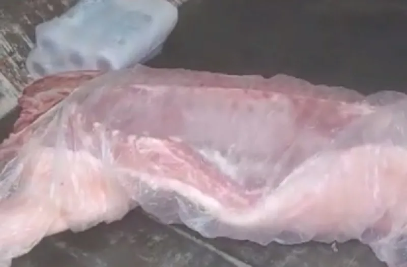 VÍDEO | Dono de frigorífico flagra funcionários vendendo carne desviada em Cariacica