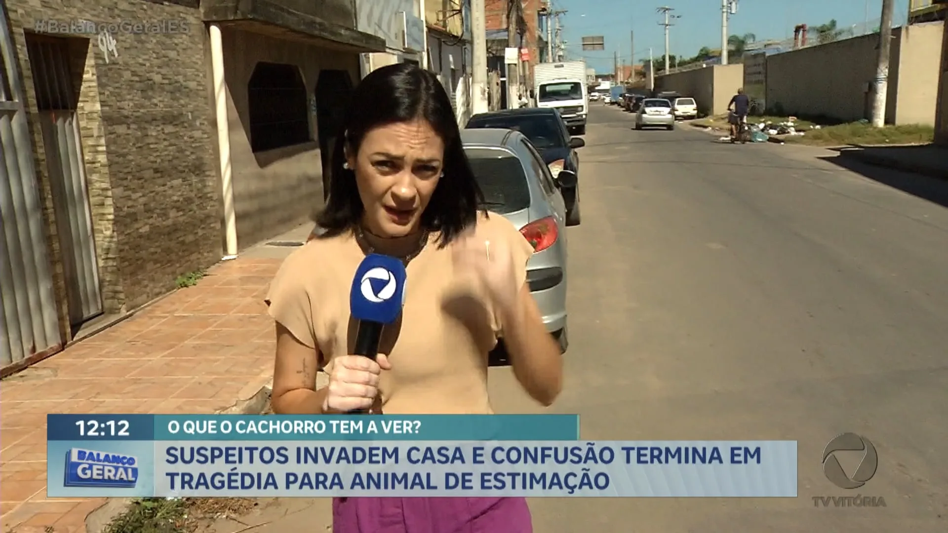 Cachorro é assassinado por criminosos