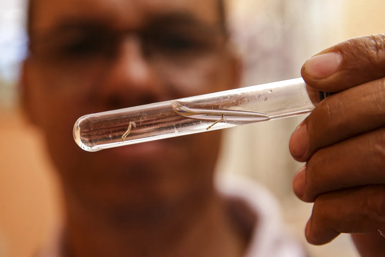 Brasília (DF), 29/02/2024 – Agentes da vigilância ambiental do DF encontram larvas do mosquito transmissor da dengue em residência no Guará, região administrativa do DF. Foto: Marcelo Camargo/Agência Brasil