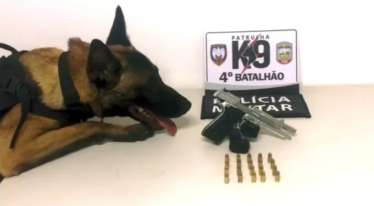 Jovem é morto dentro de bar e cão da PM encontra arma do crime em matagal