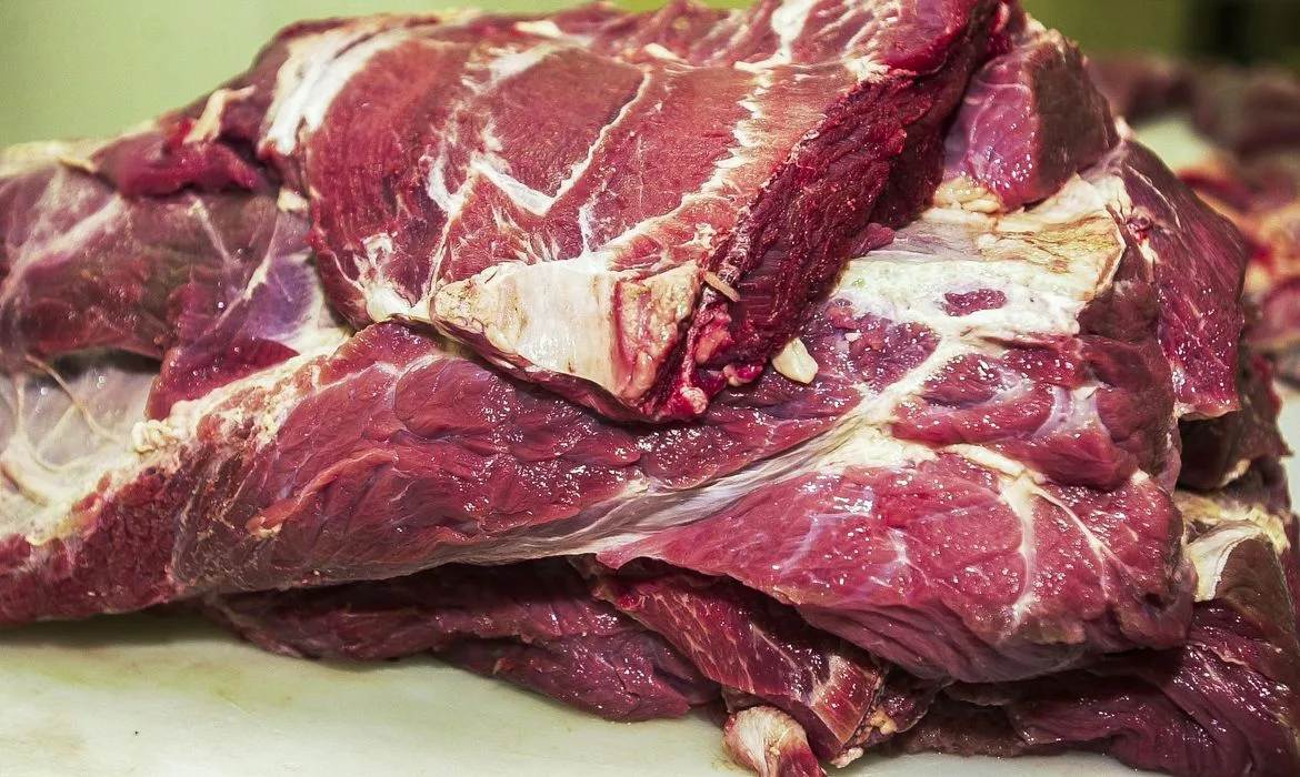 Carne fresca,Açougues, Frigoríficos, alimento