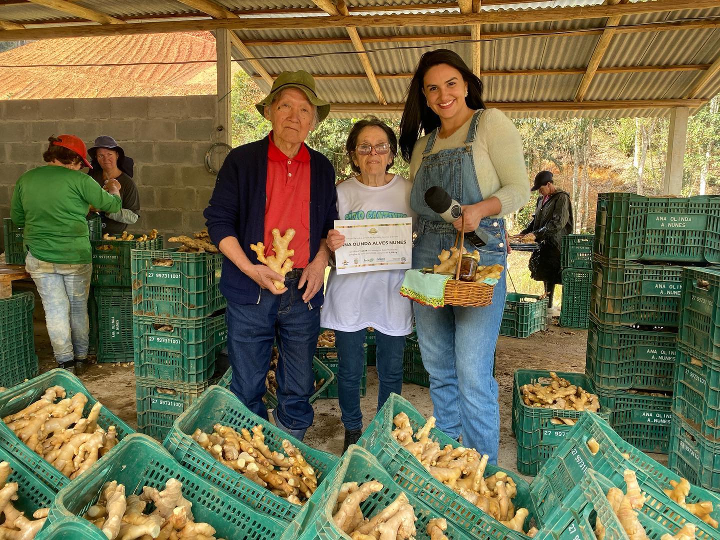 Agro Business deste domingo destaca potências de Santa Maria e uvas e vinhos de Santa Teresa