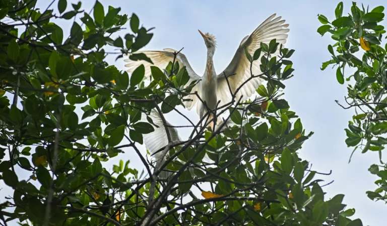 Foto: Divulgação/ Prefeitura de Vitória