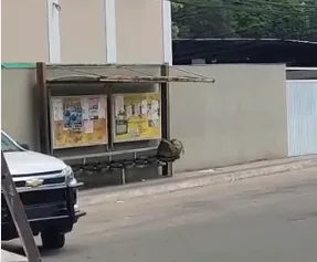 VÍDEO | Mala suspeita é abandonada em ponto de ônibus em São Mateus