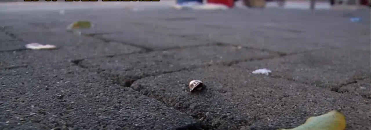 Dois jovens em situação de rua são baleados na Vila Rubim, em Vitória