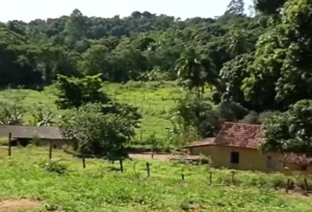 VÍDEO | Família é feita refém por quase 10 horas em propriedade rural; criminosos mataram 5 animais