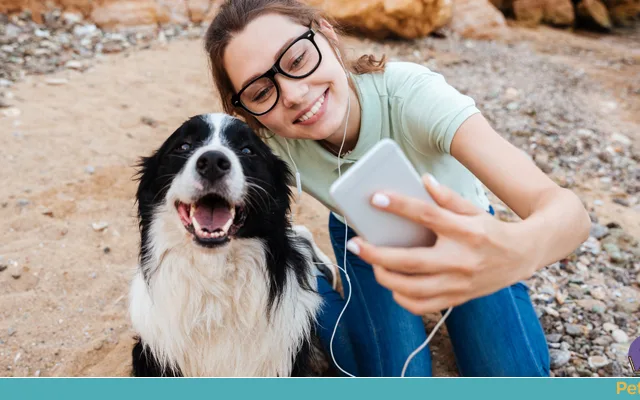 apps que ajudam a rotina com pets