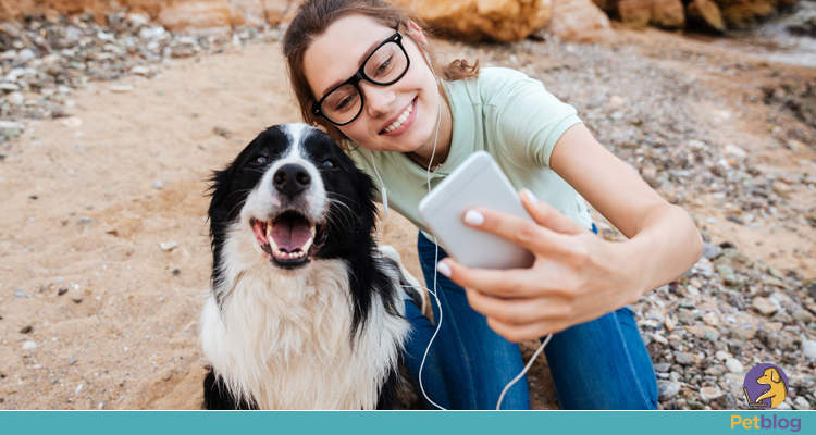 apps que ajudam a rotina com pets