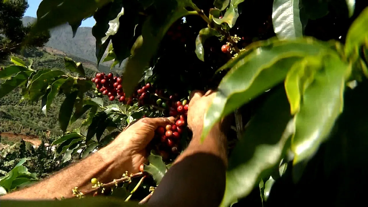 Guerra na Ucrânia: impactos no agronegócio do ES serão debatidos no 2º Encontro Agro Business