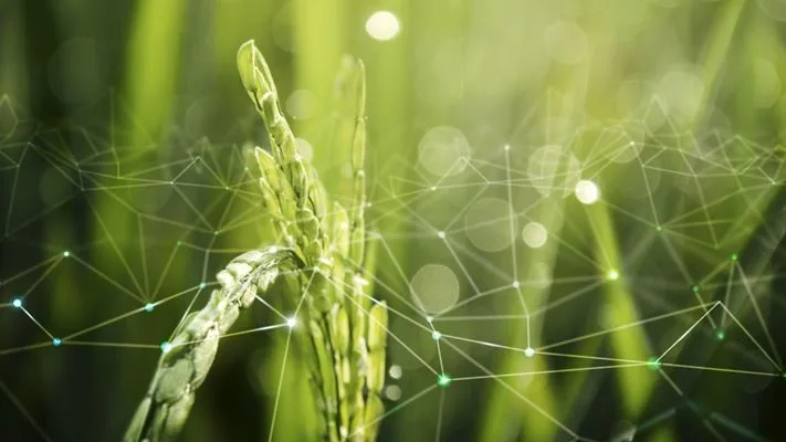 Fórum Bioinsumos no Agro reúne em São Paulo players para discutir setor