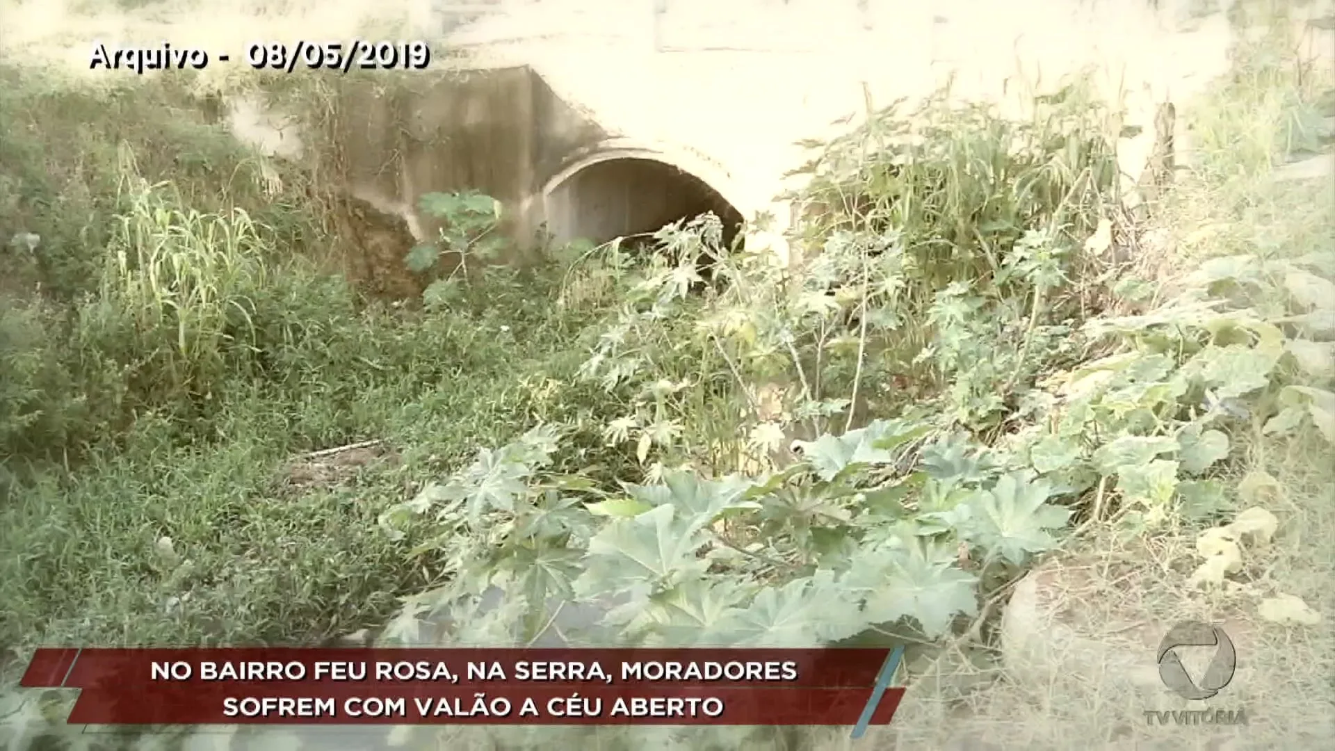 Trailer do Cidade atende comunidade de Feu Rosa