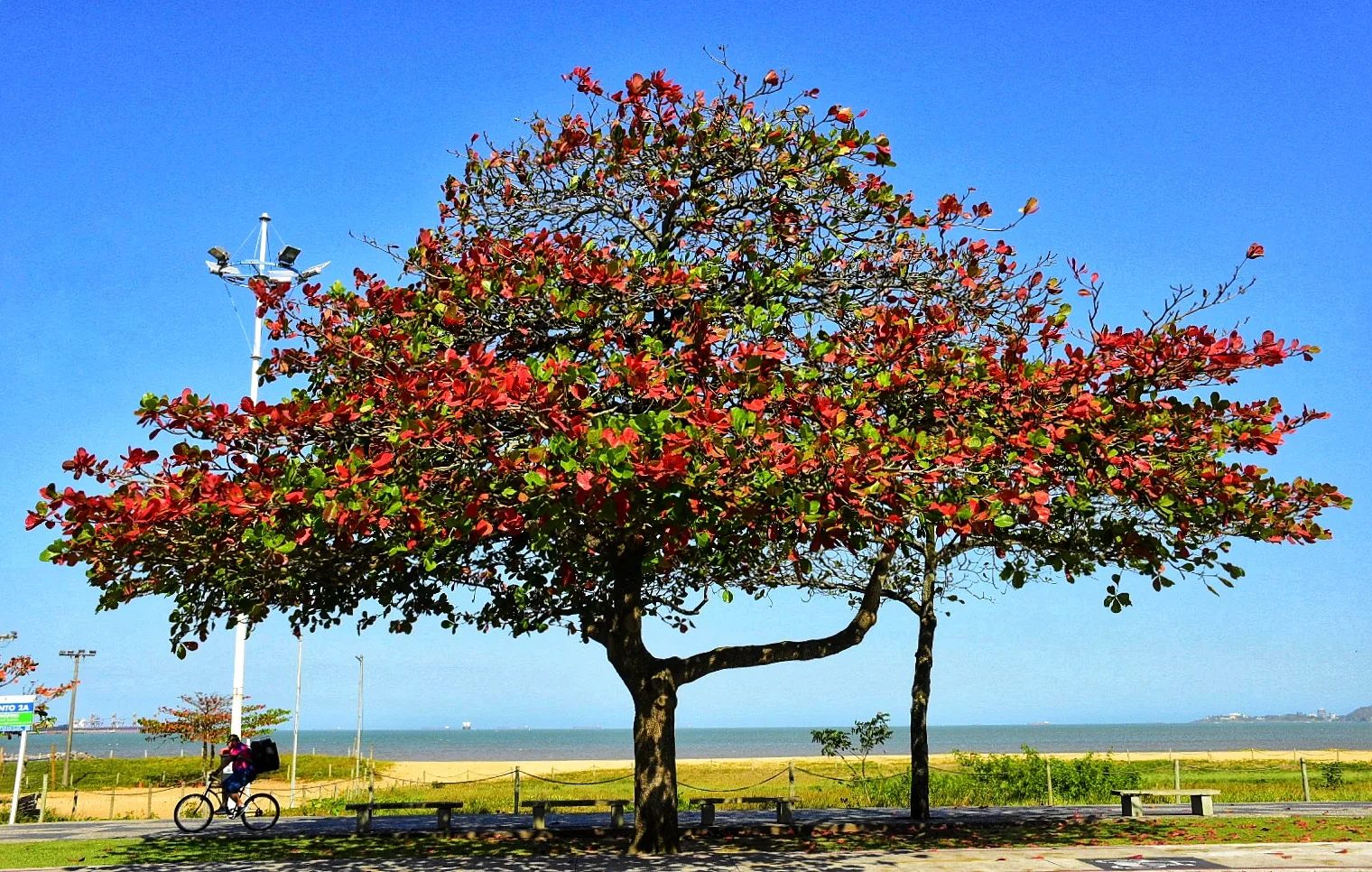 Cores do inverno na Grande Vitória: veja fotos de paisagens de tirar o fôlego