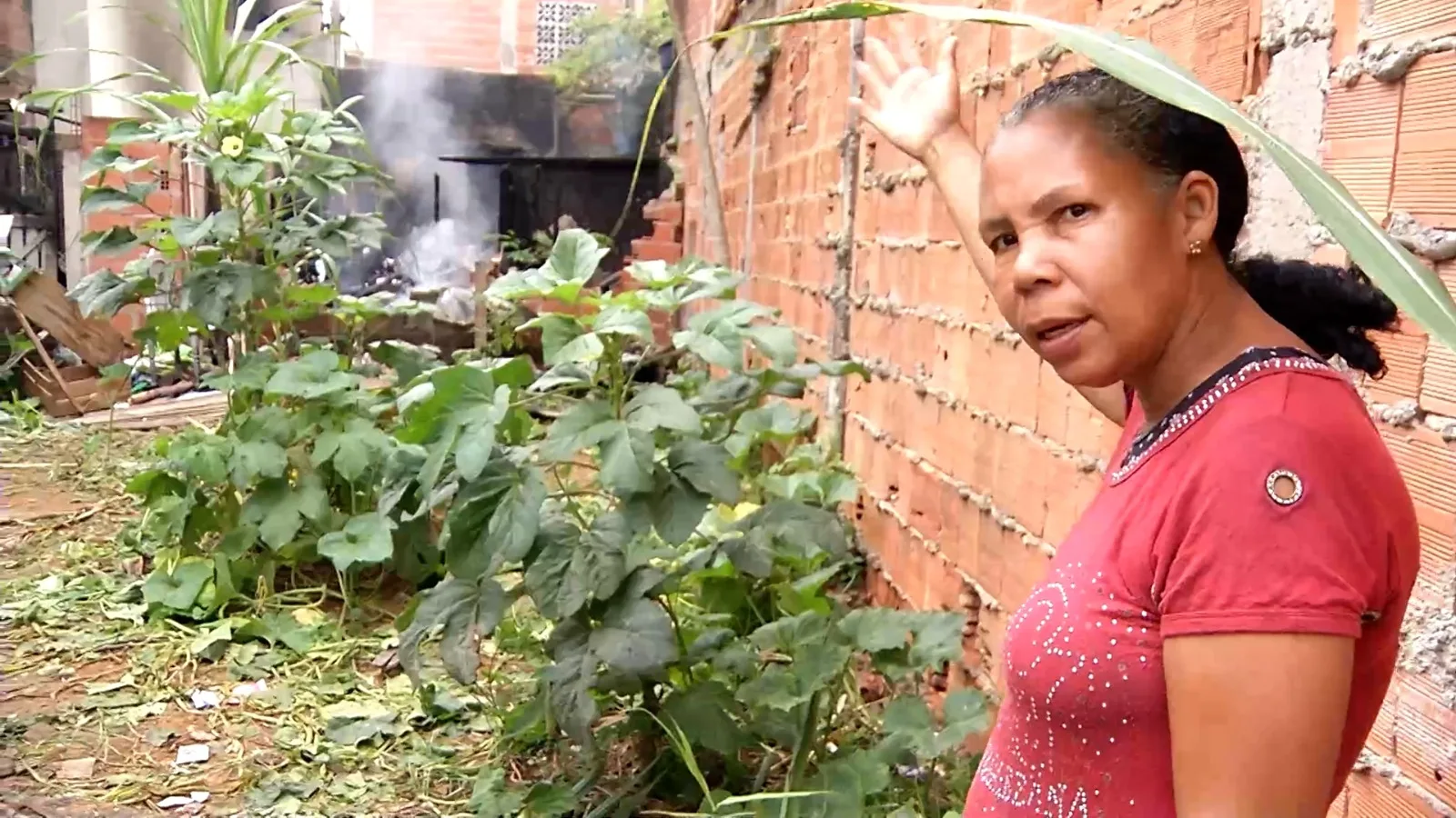 "Perdi tudo, parece pesadelo", diz moradora que teve a casa destruída pelo fogo na Serra