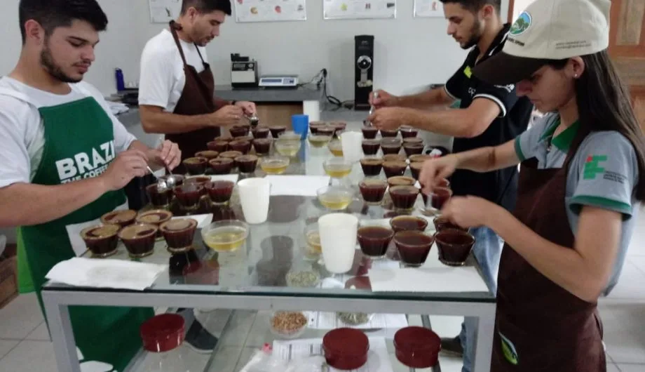 Concurso de Qualidade de Café Conilon de Cachoeiro entra na fase de degustação