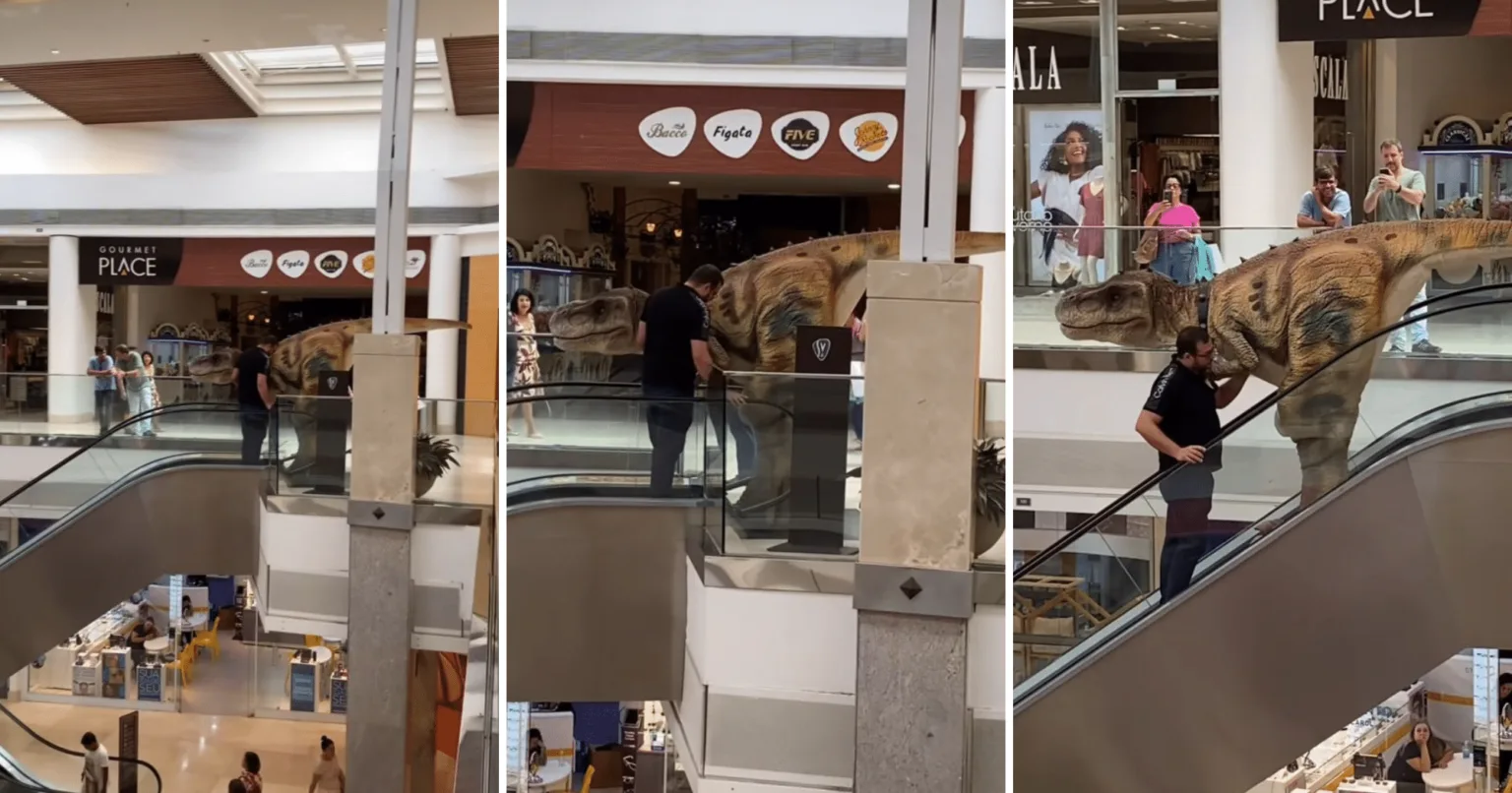 Dinossauro desce escada rolante do Shopping Vitória e diverte a web: "Cuidado, Rodolfo!" (Foto: Reprodução/Instagram @igvxii) Dinossauro desce escada rolante do Shopping Vitória e diverte a web: "Cuidado, Rodolfo!" (Foto: Reprodução/Instagram @igvxii)
