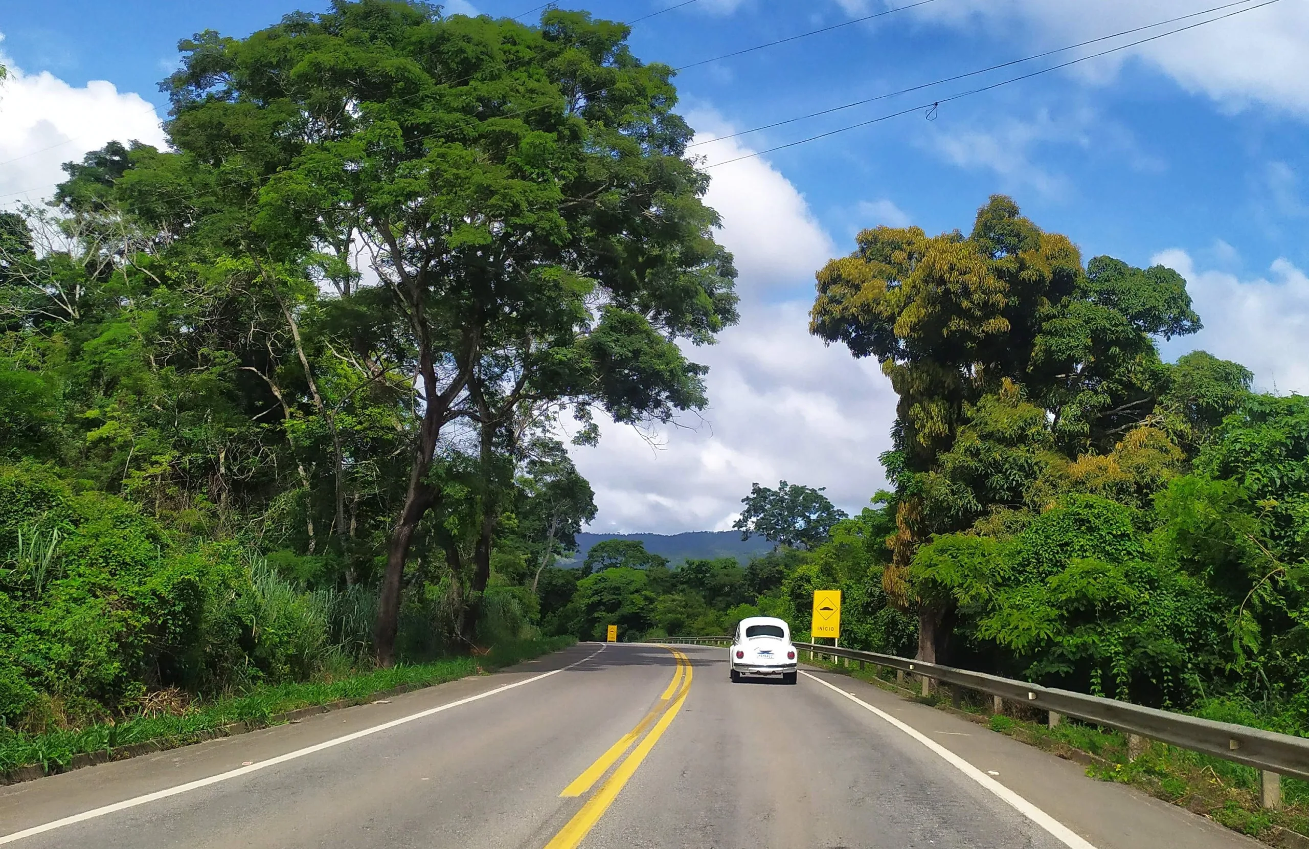 Trecho da BR-262 no ES é interditado para retirada de árvores