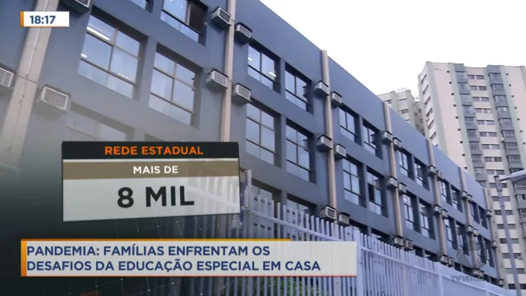 Pandemia: Famílias enfrentam os desafios da educação especial em casa