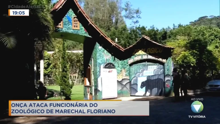Funcionário de zoológico é atacado por onça