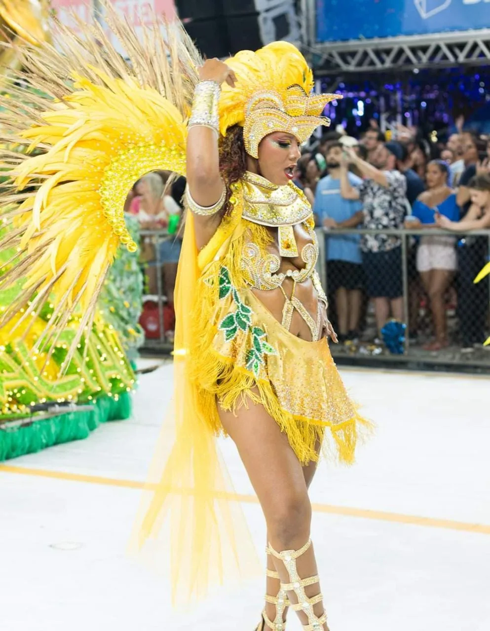 Carnaval de Vitória: Servidora do ES vai desfilar em 7 escolas de samba