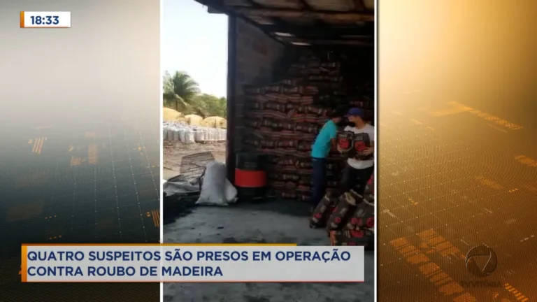 Quadrilha rouba madeira em comunidades quilombolas no norte do ES