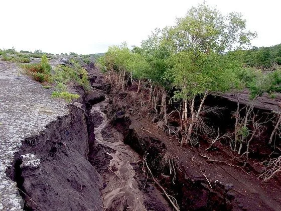 Conheça falhas geológicas que podem causar terremotos