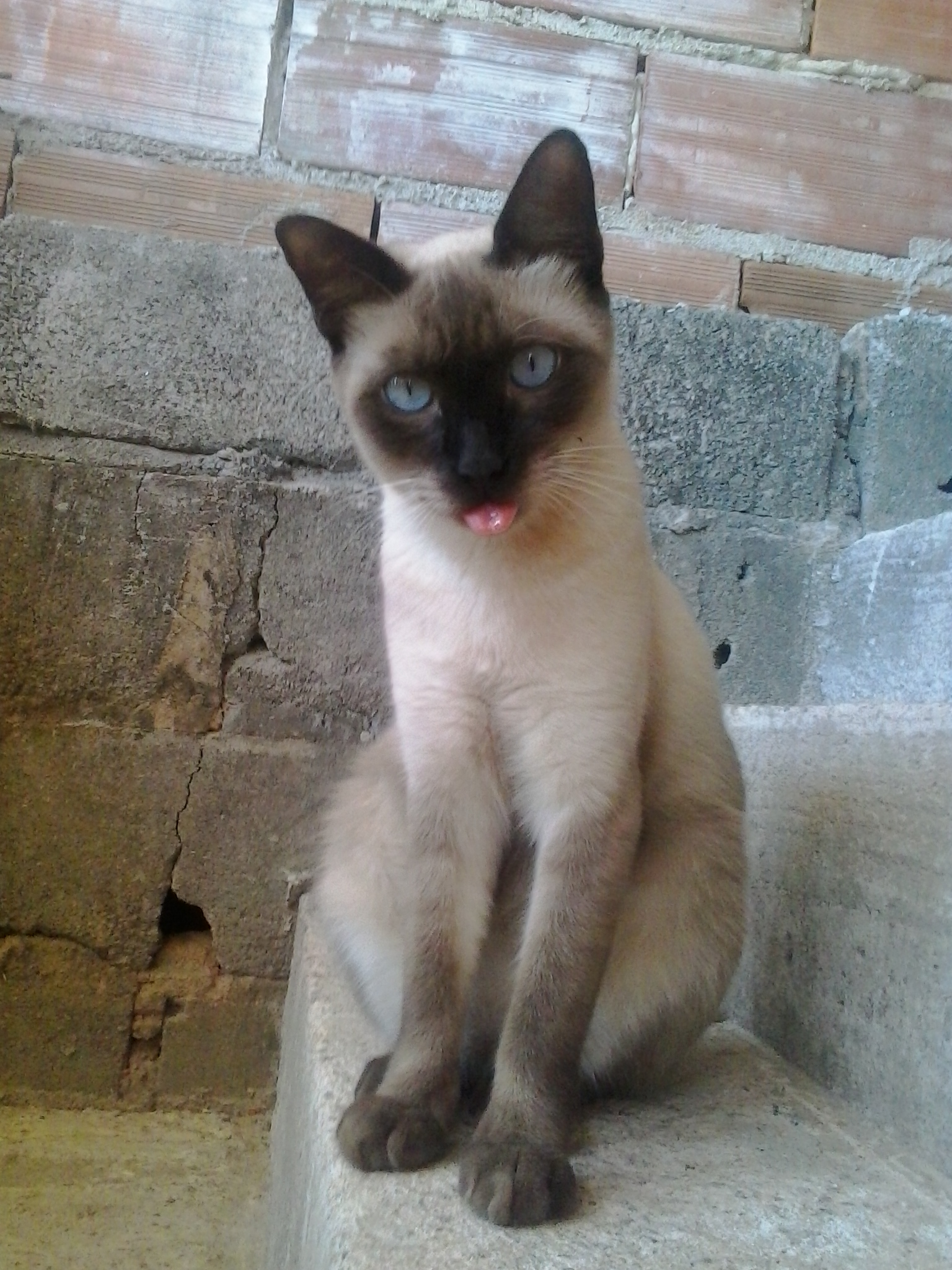 Romeu é um cara sério. #SóQueNão :p