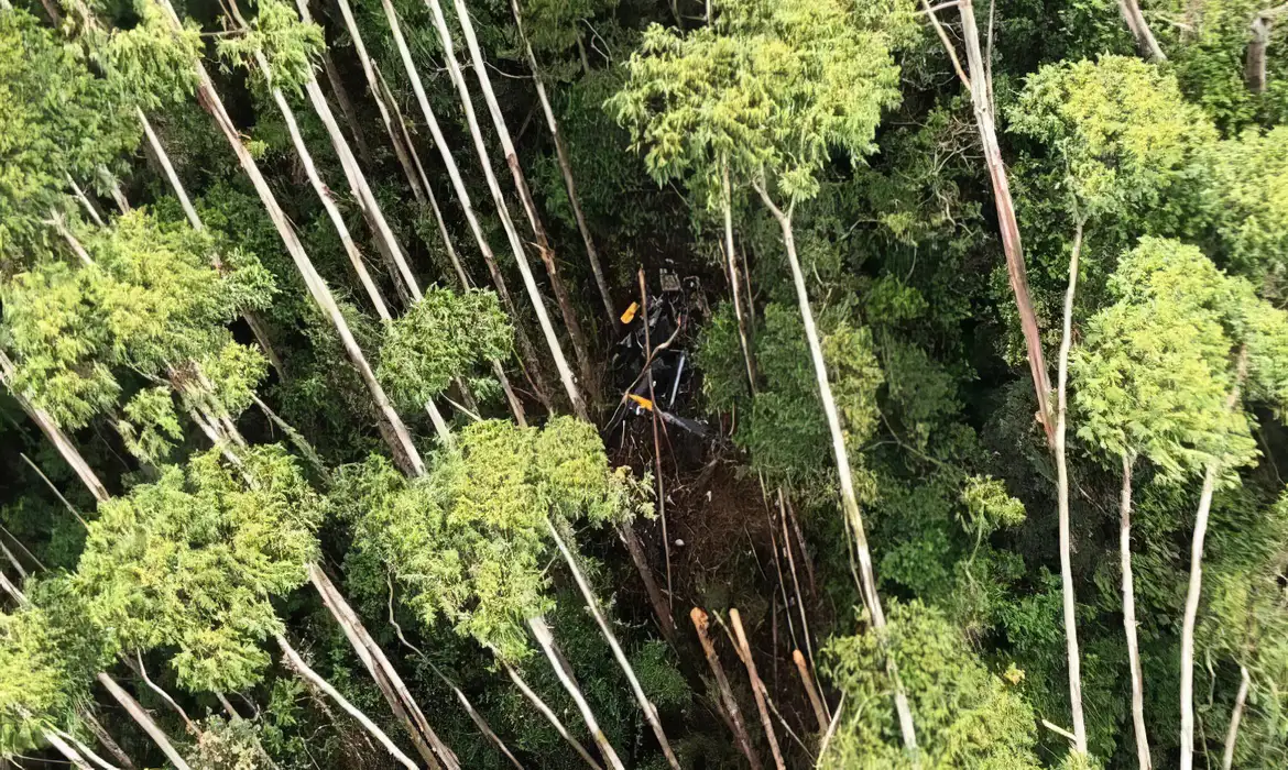 PM retira da mata corpos de helicóptero que havia desaparecido em SP