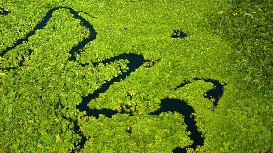 economia de baixo carbono: desafios e oportundidades 